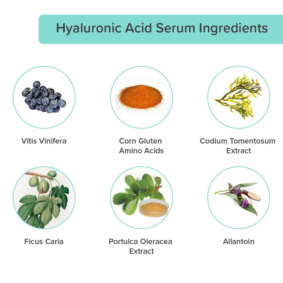 hyaluronic-acid-ingredients