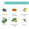 hyaluronic-acid-ingredient